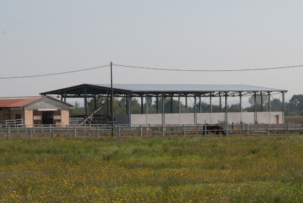 AZIENDA AGRICOLA CEI CAROLINA – Oviglio (Al)