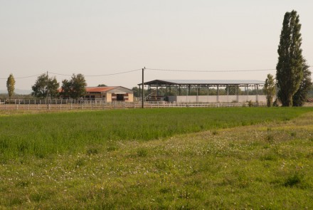 AZIENDA AGRICOLA CEI CAROLINA – Oviglio (Al)