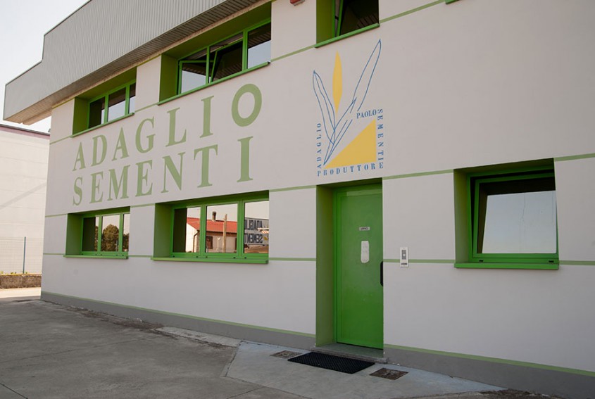 ADAGLIO SEMENTI s.r.l. – Oviglio (Al)