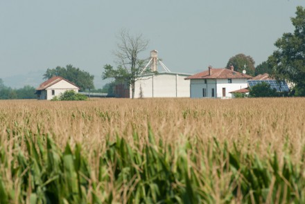 AZIENDA AGRICOLA MIGNONE – TENUTA S.MICHELE Bosco Marengo (Al)