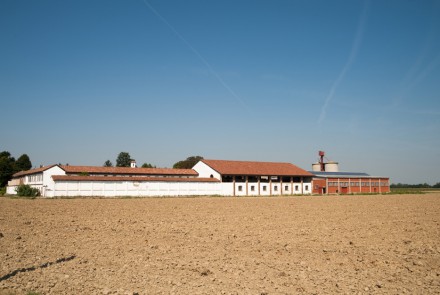 AZIENDA AGRICOLA MIGNONE – TENUTA S.MICHELE Bosco Marengo (Al)