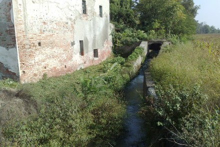 AZIENDA AGRICOLA MIGNONE – TENUTA S.MICHELE Bosco Marengo (Al)