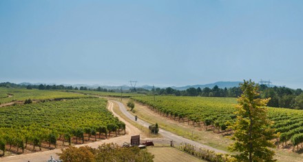 TENUTA LA MARCHESA Società Agricola s.r.l – Novi Ligure (Al)